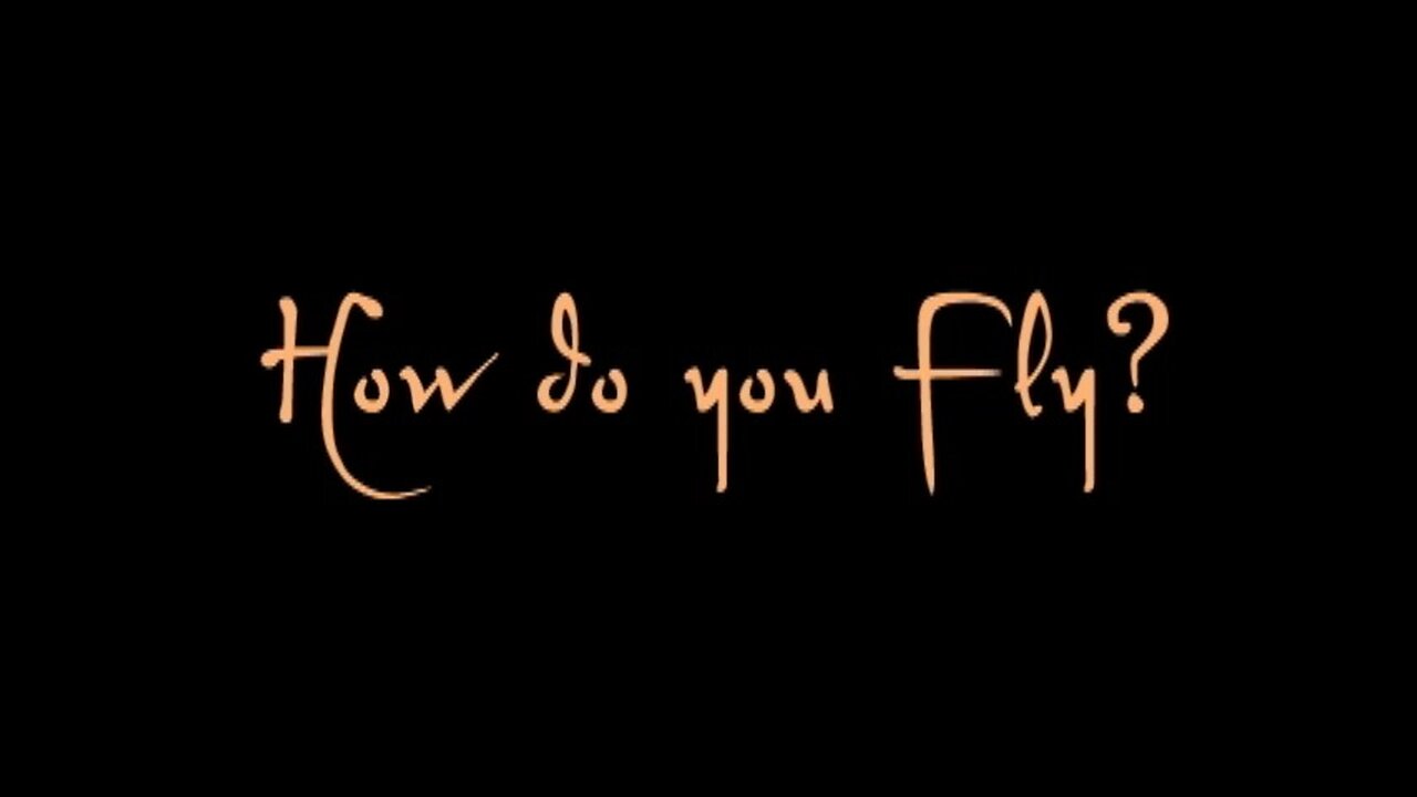 Darryl John Kennedy - "How do you Fly?" (Leonardo Da Vinci)