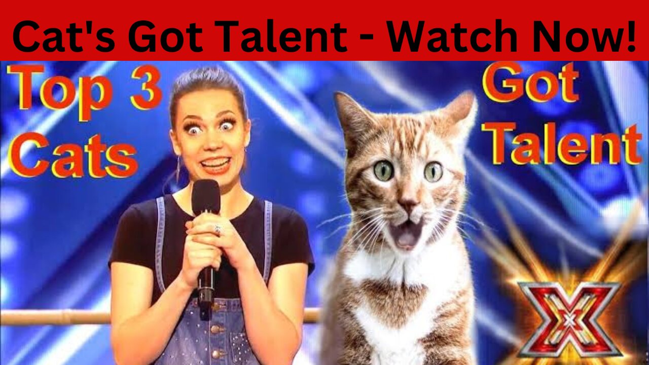 The Savitsky Cats_ Super Trained Cats Perform Exciting Routine - America_s Got Talent