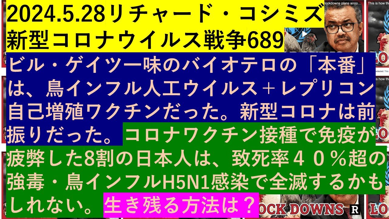 2024.5.28リチャード・コシミズ 新型コロナウイルス戦争689