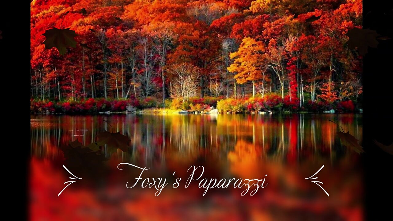 🌿💎🌿 "Foxy's Paparazzi 🍁🍂🍁 "Sugar & Spice" - Autumn Colors, Styles & Trends