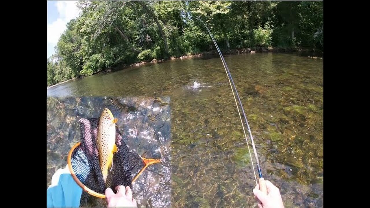 Lows and Highs of Tail race Trout Fly Fishing