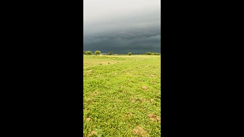 Weather lit and look at green beauty