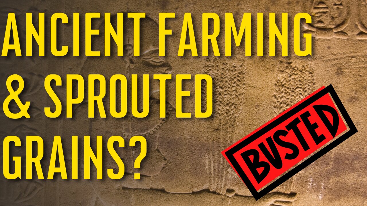 Did Our Ancestors Consume Sprouted Grains Due to Ancient Farming Techniques? | Grain Myth Busting!