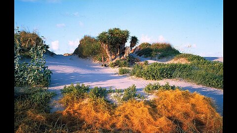 Matagorda