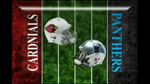 2009-01-10 NFC Divisional Arizona Cardinals vs Carolina Panthers