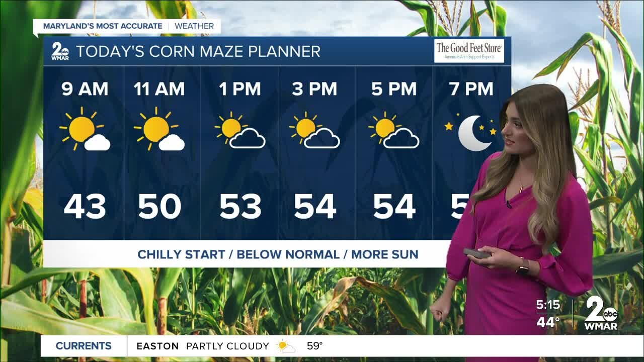 Good Morning Maryland Weather - Stevie Daniels