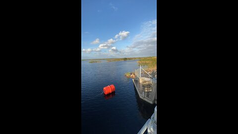 Fishing in the swamp