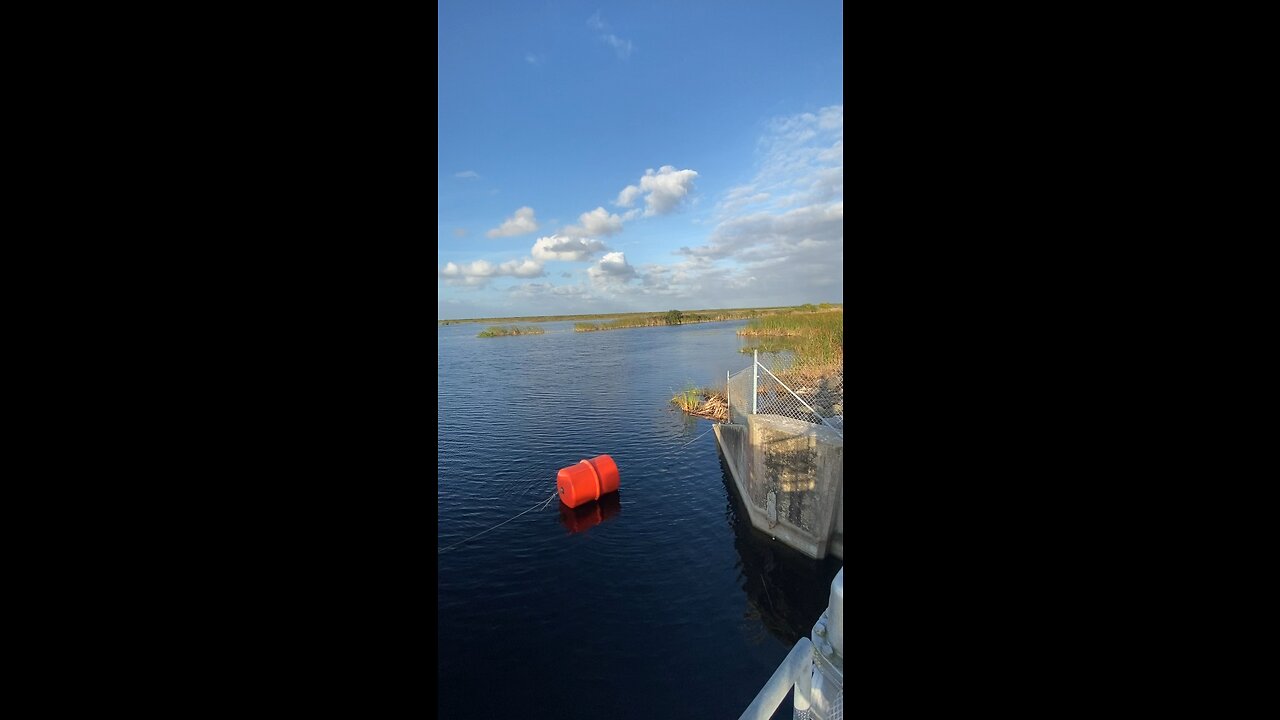 Fishing in the swamp
