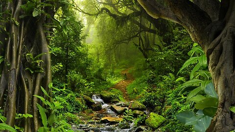 Let's see the beauty of Nature - "Groove Day" Hip Hop Beat -