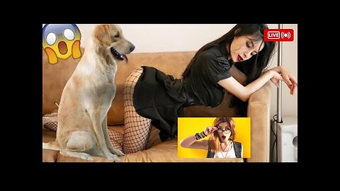 best funniest animal videos 2023🤣 funny cat videos😹 funny dogs videos🐶 #1