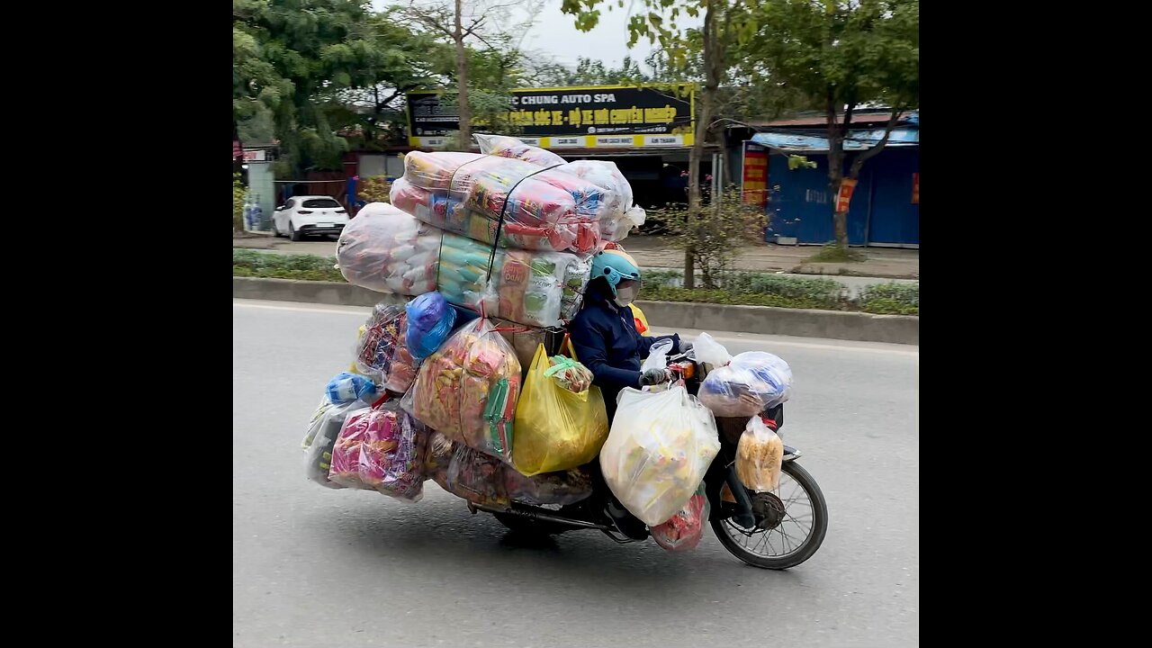 Potato Chips Transporter