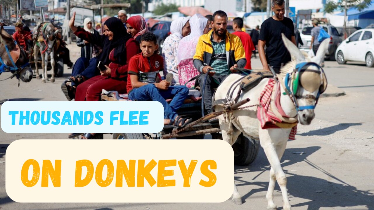 Thousands of Palestine flee on DONKEYS as Israel Go Balistic On Gaza