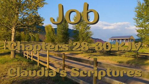 The Bible Series Bible Book Job Chapters 28-30 Audio