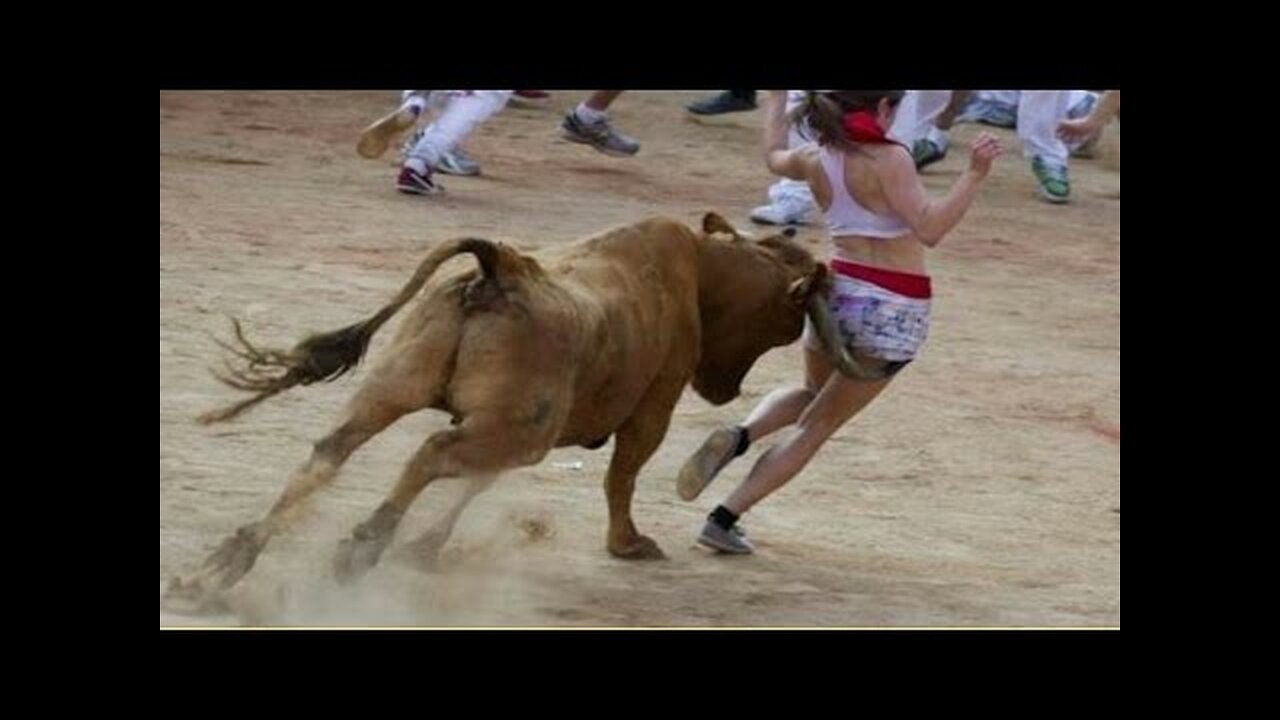 Best funny videos 2023 Most awesome bullfighting festival funny crazy bull fails