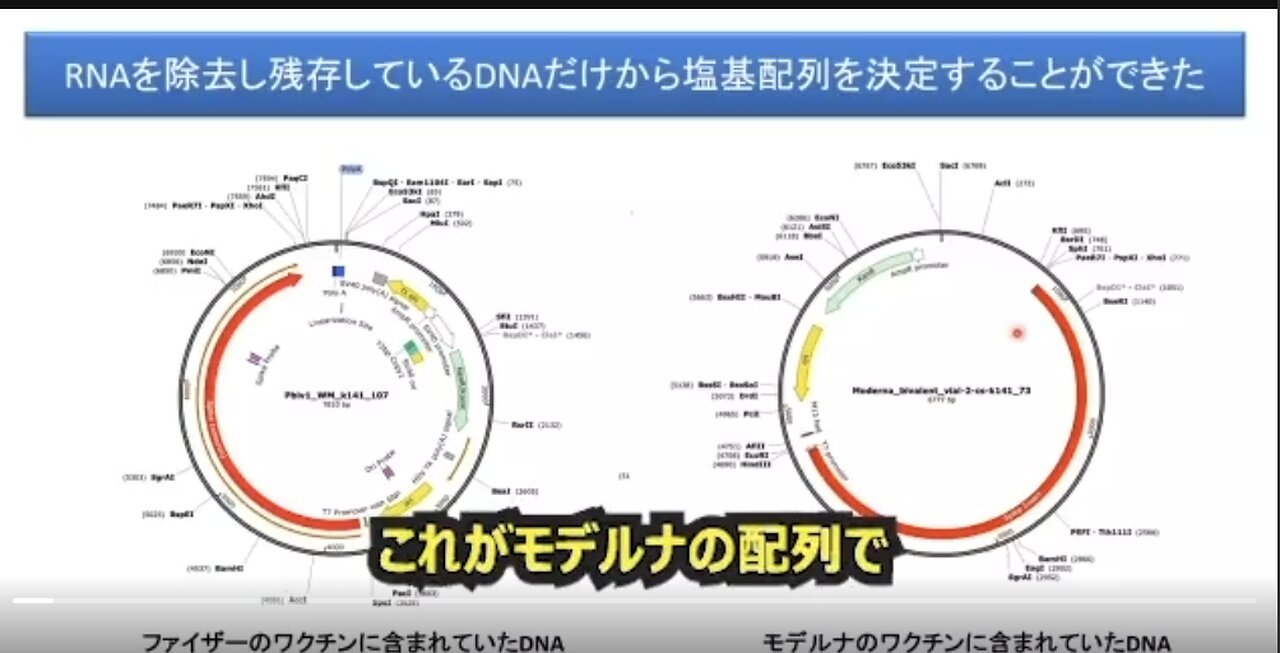 SV40 Cancer Causing Gene Was Put In Pfizers' Covid Vaccine!