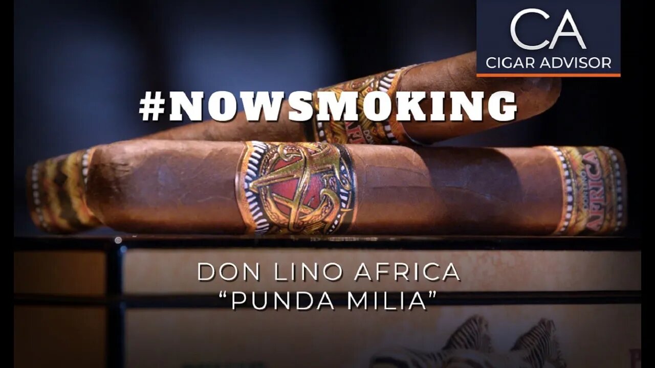 #NS: Don Lino Africa by AJ Fernandez Punda Milia (Toro) Cigar Review