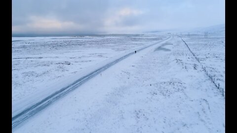 Lone Walker - Life in the Sub-Arctic