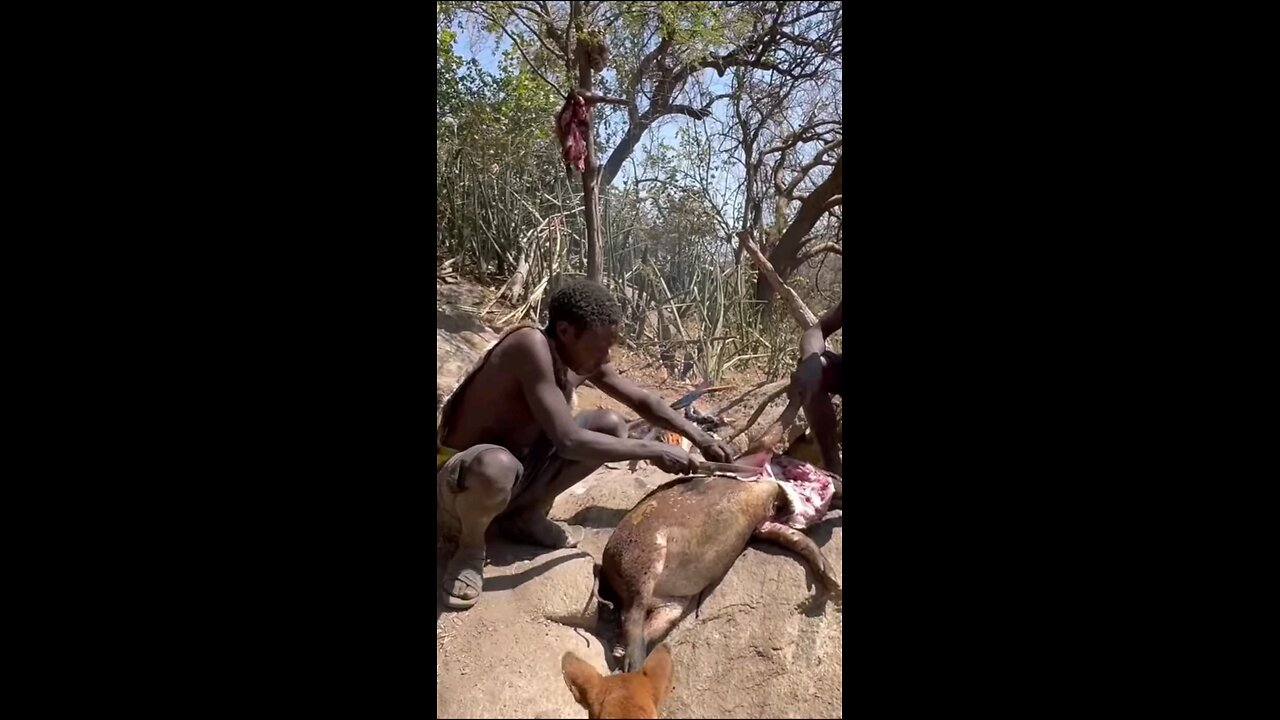 Tribal Hunting: Fascinating Techniques of Catching and Cooking Wild Animals"