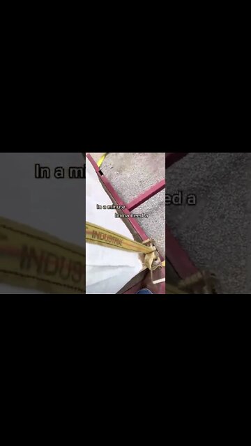 It's a Bulk Feed Buy Day! #shorts