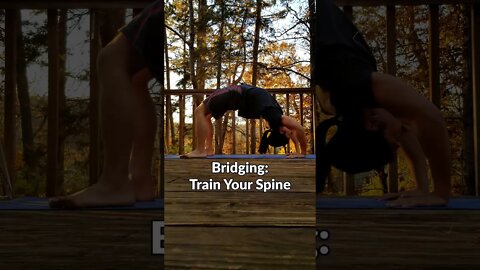 BODYWEIGHT BRIDGE: Tutorial