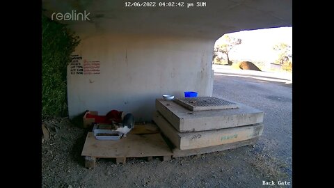 SmootchNose at daylight