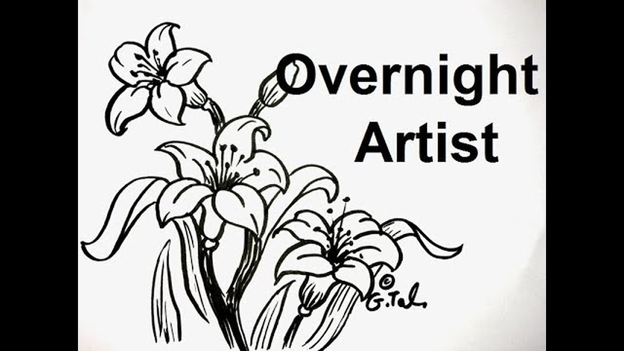 3 Lily Flower Drawings Easy Step By Step