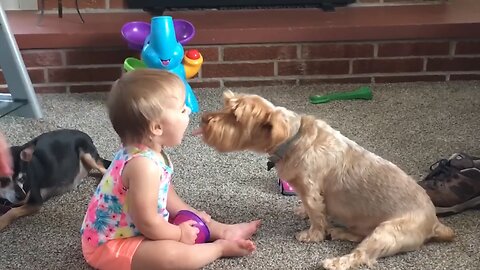The child licked the dog's face