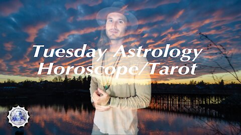 Daily Astrology Horoscope/Tarot November 23rd, 2021. (All Signs)