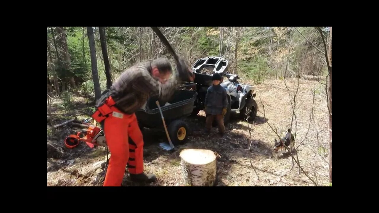 Firewood Splitting And Bucking Technique