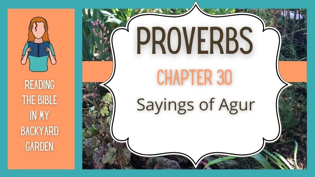 Proverbs Chapter 30 | NRSV Bible