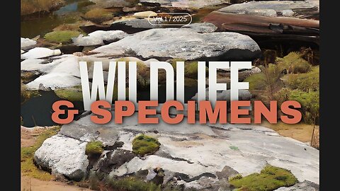 Bringing in Wildlife Specimens and Products