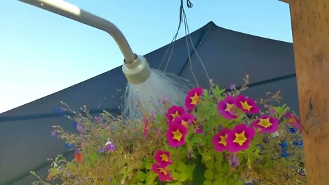 Summer Chores Late August 2022