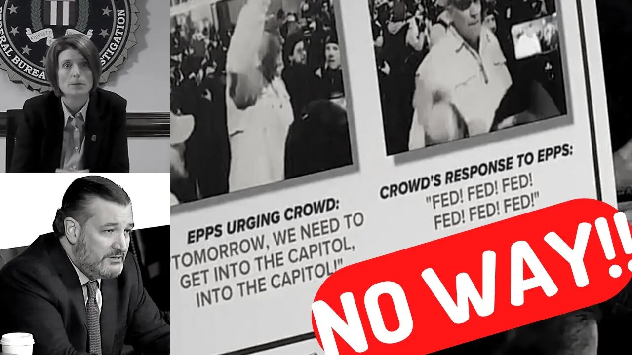 "I Can't Answer That !!" ASST. FBI DIRECTOR CAN'T ANSWER SIMPLE QUESTIONS FROM TED CRUZ ABOUT JAN 6