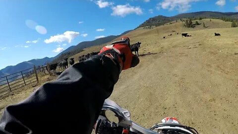 2019 KLIM Cowtag XL - Fluorspar Mine