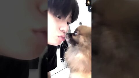 🤣🐶 Funny dogs funniest moments shorts #4 🐕😂 | Funny animal videos 2023