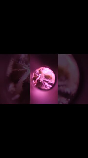 Jewelers Loupe Trick for Easier Viewing