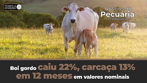 Boi gordo caiu 22%, carcaça 13% em 12 meses em valores nominais. Mercado está lateralizado.