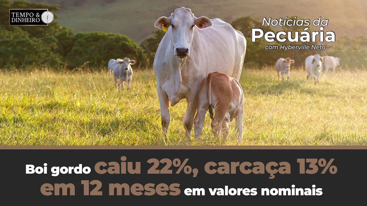 Boi gordo caiu 22%, carcaça 13% em 12 meses em valores nominais. Mercado está lateralizado.