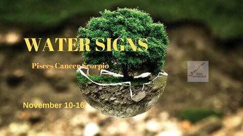 WATER SIGNS: Pisces Cancer Scorpio *Things Favor You If You Stay In The Right Vibration * Nov 10-16