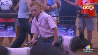 Get Piggy With It | Morning Blend