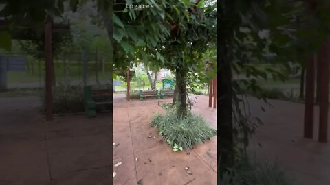 Área de Convivência, Parque Olhos d’água, Brasília - DF