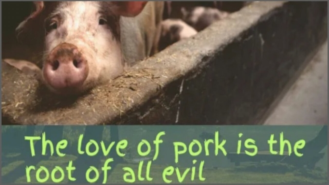 Why does the Bible say we should not eat pork?