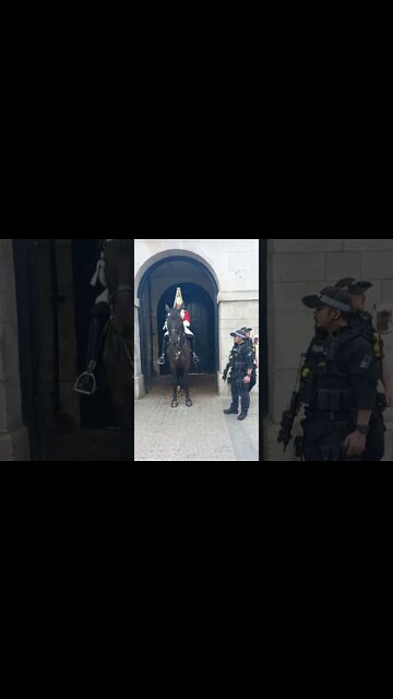 drunk tourist shouted at get back #horseguardsparade