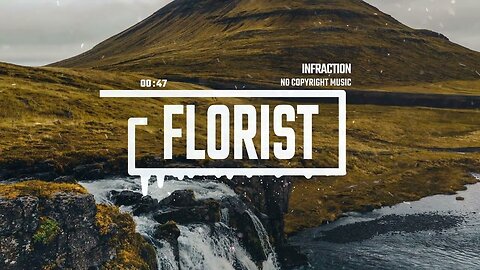 Documentary Cinematic Violin by Infraction Florist