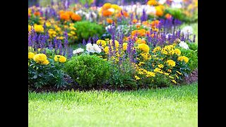 EVERYONE CAN GROW A GARDEN