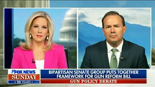 Republican Loses Ability to Speak When Confronted with Gun Polling