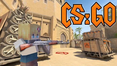 Luty Playing Cs:Go With Fan (i got trolled it was ryan)