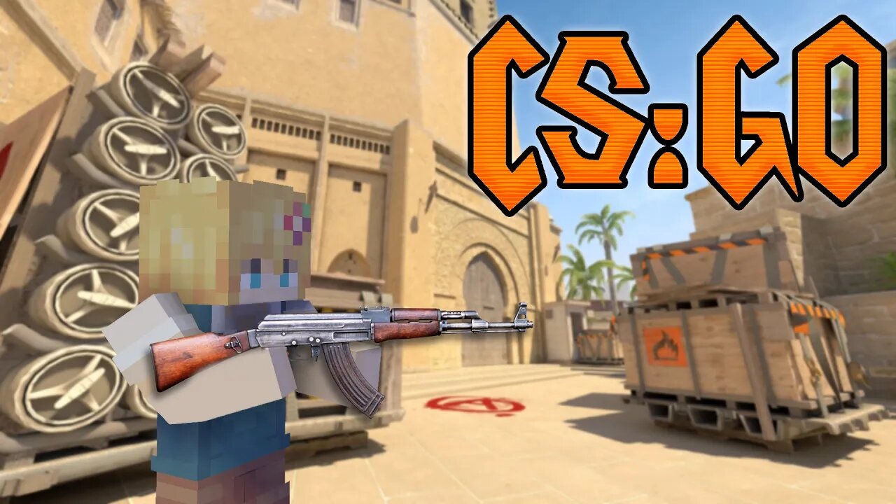 Luty Playing Cs:Go With Fan (i got trolled it was ryan)