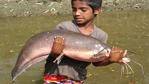 Indian Big Fish Cutting Style