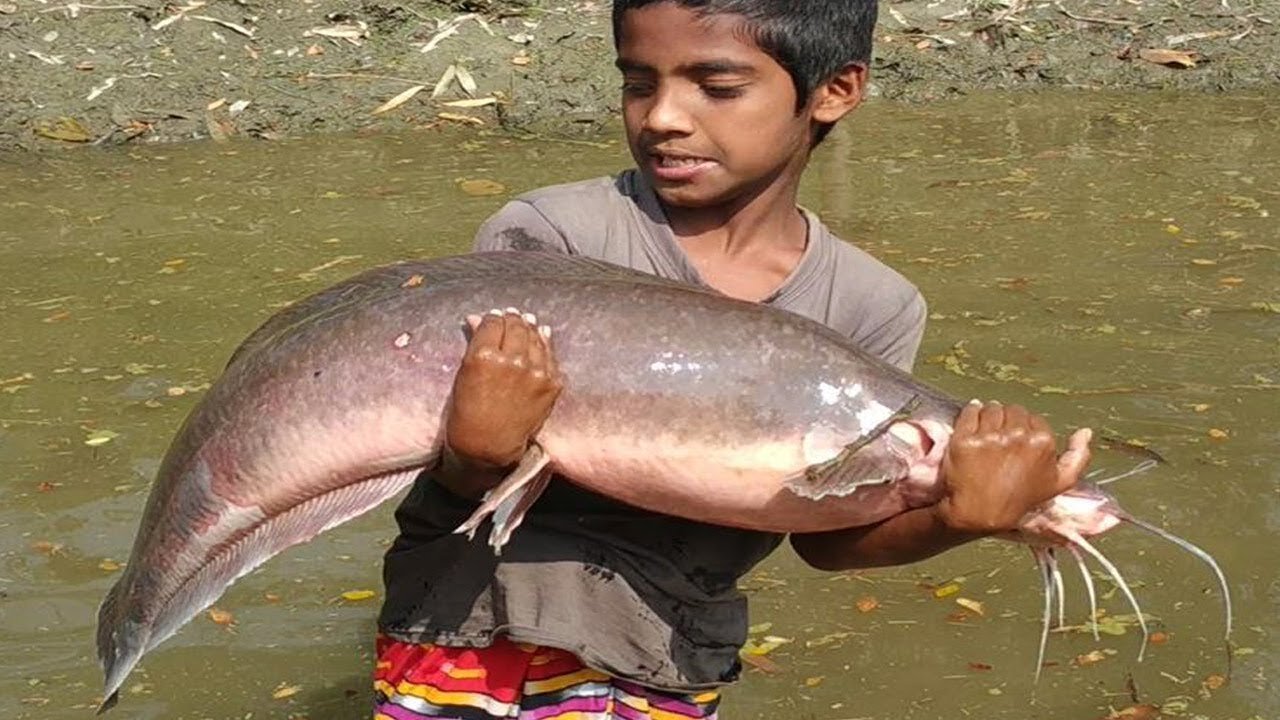 Indian Big Fish Cutting Style